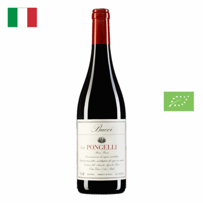 Tenuta Pongelli Rosso Piceno DOC 2022' 75cL 13,5% vol