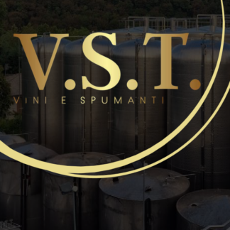 V.S.T - veinid - IT